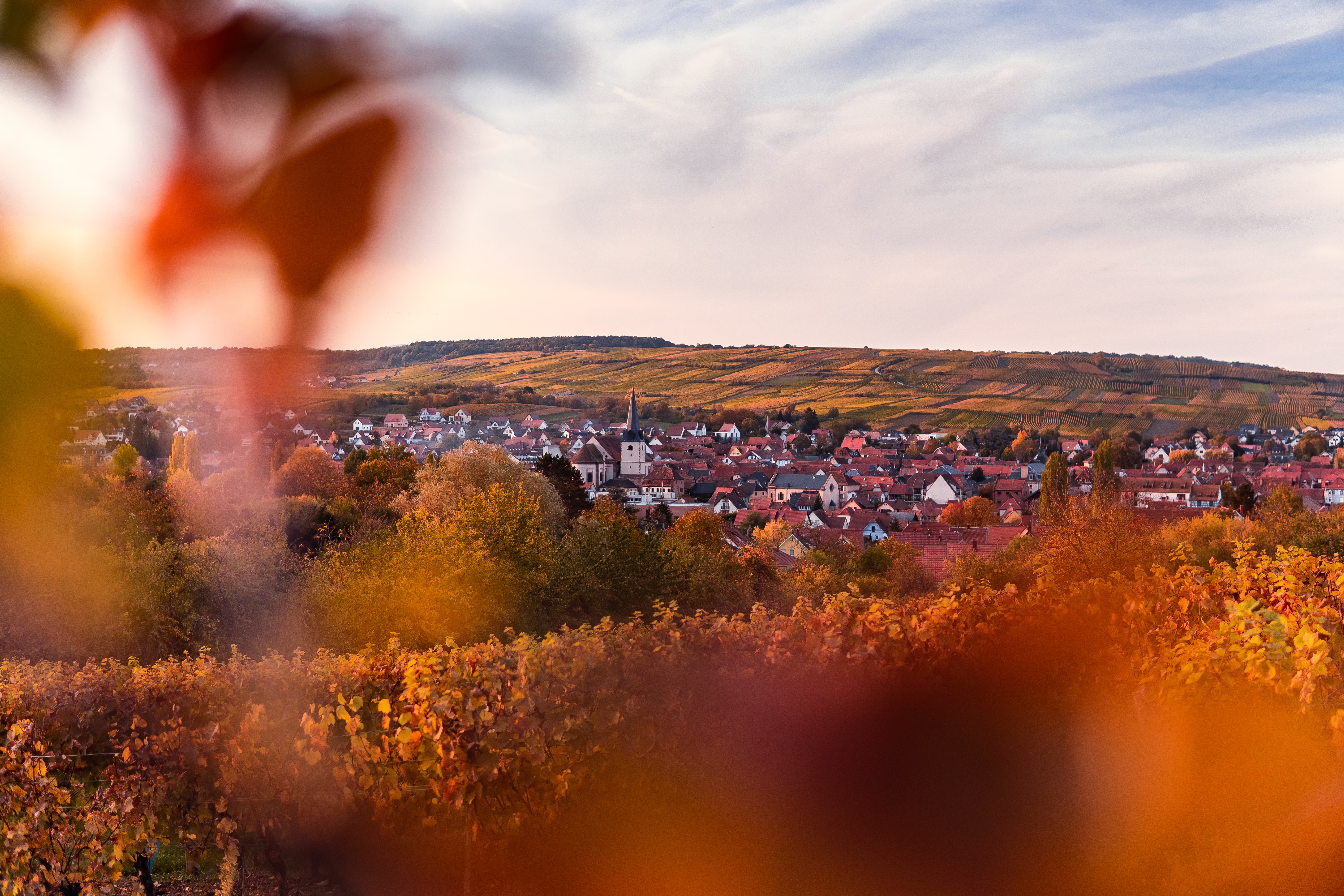 Panorama over Rosheim in Alsace